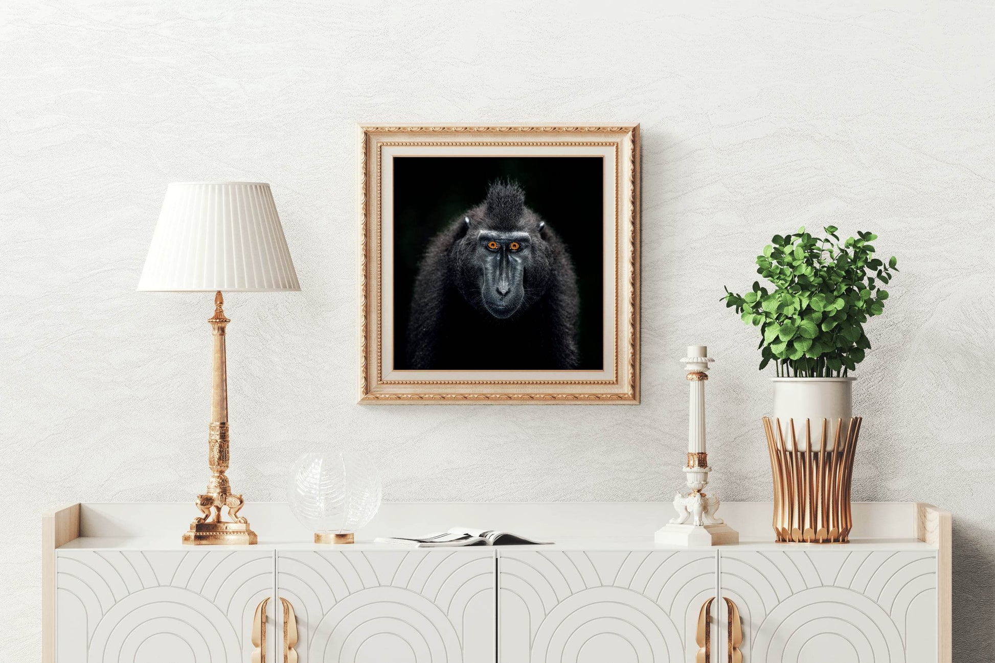 Close Up Portrait of a Male Chimpanzee - beink online art store