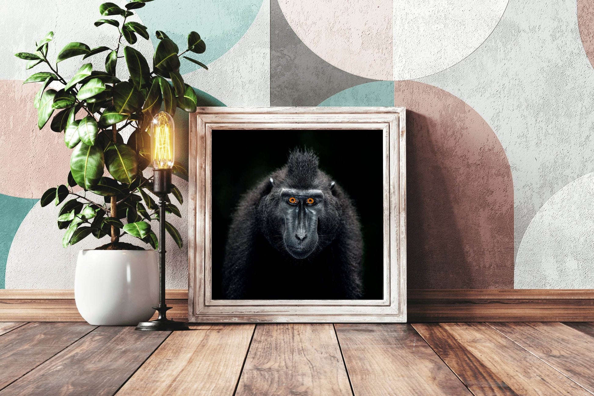 Close Up Portrait of a Male Chimpanzee - beink online art store