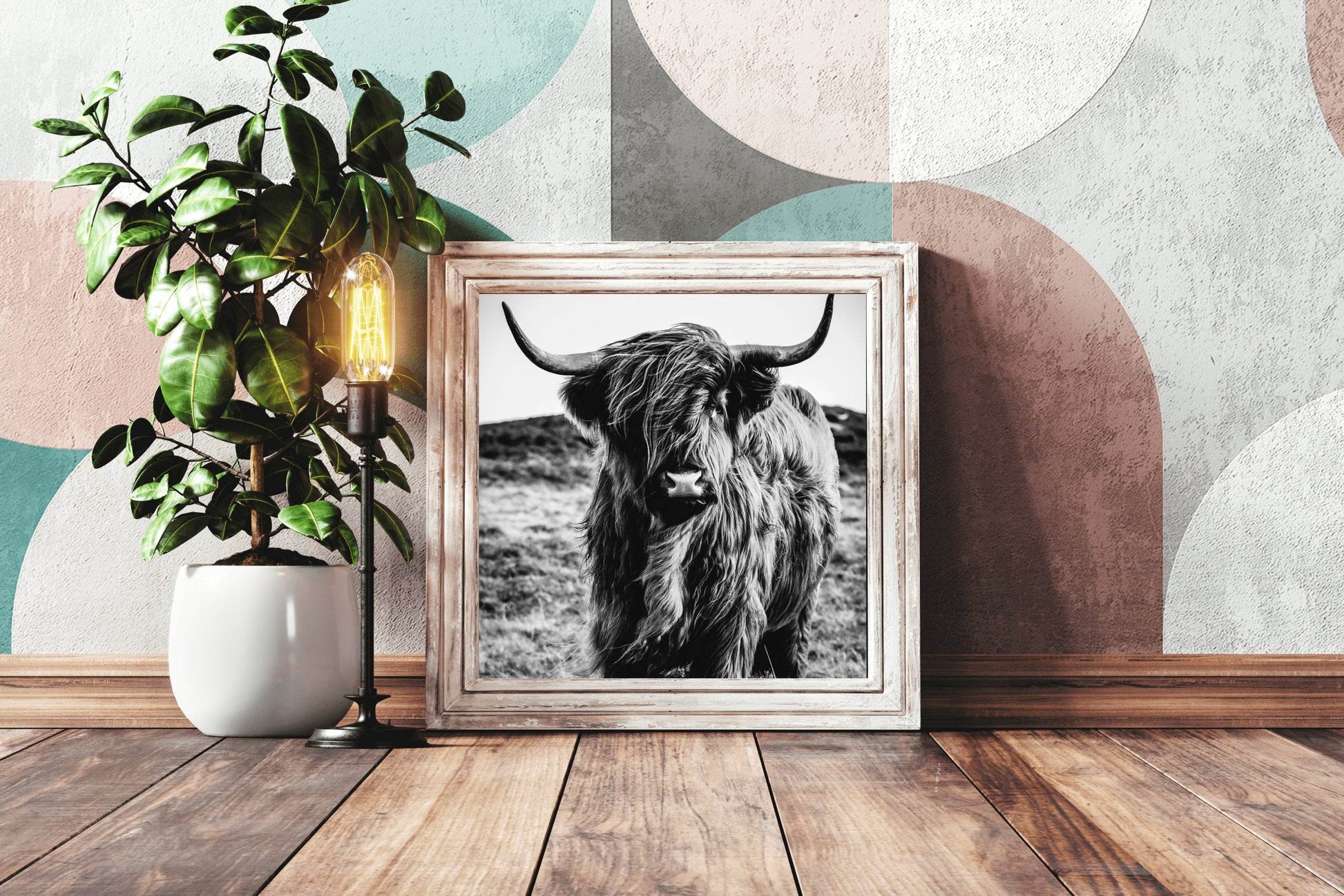 Highland Cattle Wall Art - beink online art store